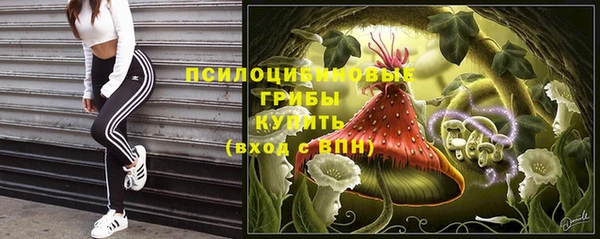 мяу мяу мука Абаза