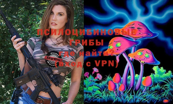 мяу мяу мука Абаза