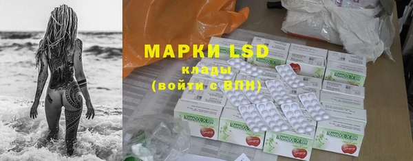 мяу мяу мука Абаза