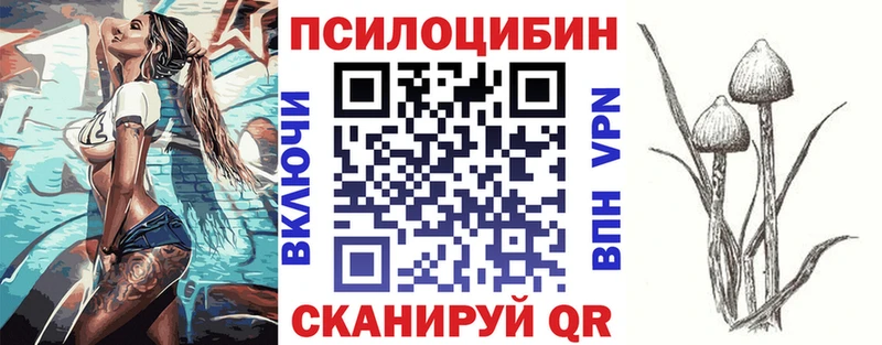 Псилоцибиновые грибы Cubensis  Туапсе 